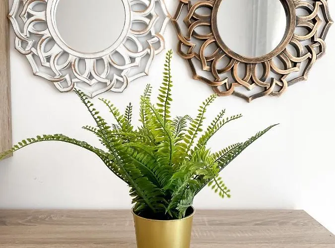 Apartment National Arena